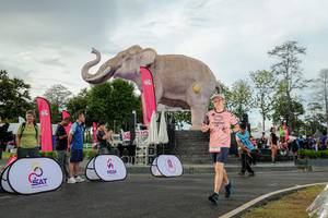 BIB: 
                            <button type="button" onclick="openModal(26528357)" class="btn btn-primary btn-sm float-right btn-popup" data-toggle="modal" data-target=".modal-high-quality">
                        <i class="fas fa-shopping-cart"></i> Add to Cart
                    </button>
                                            <button type="button" onclick="isThisMe(26528357, true)" class="btn btn-success btn-sm float-right btn-popup btn-isme hidden" data-toggle="tooltip" data-placement="bottom" title="นี่คือรูปของคุณใช่ไหม คลิกที่นี่เพื่อเอาเข้าอัลบั้ม">
                        <i class="fas fa-plus"></i> Add to album
                    </button>
                    <button type="button" onclick="isThisMe(26528357, false)" class="btn btn-warning btn-sm float-right btn-popup btn-isnotme hidden">
                        <i class="fas fa-ban"></i> Remove from album
                    </button>